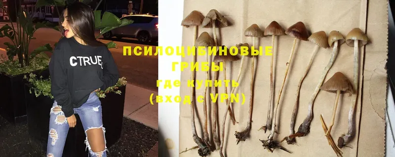 Галлюциногенные грибы Magic Shrooms  Боровичи 